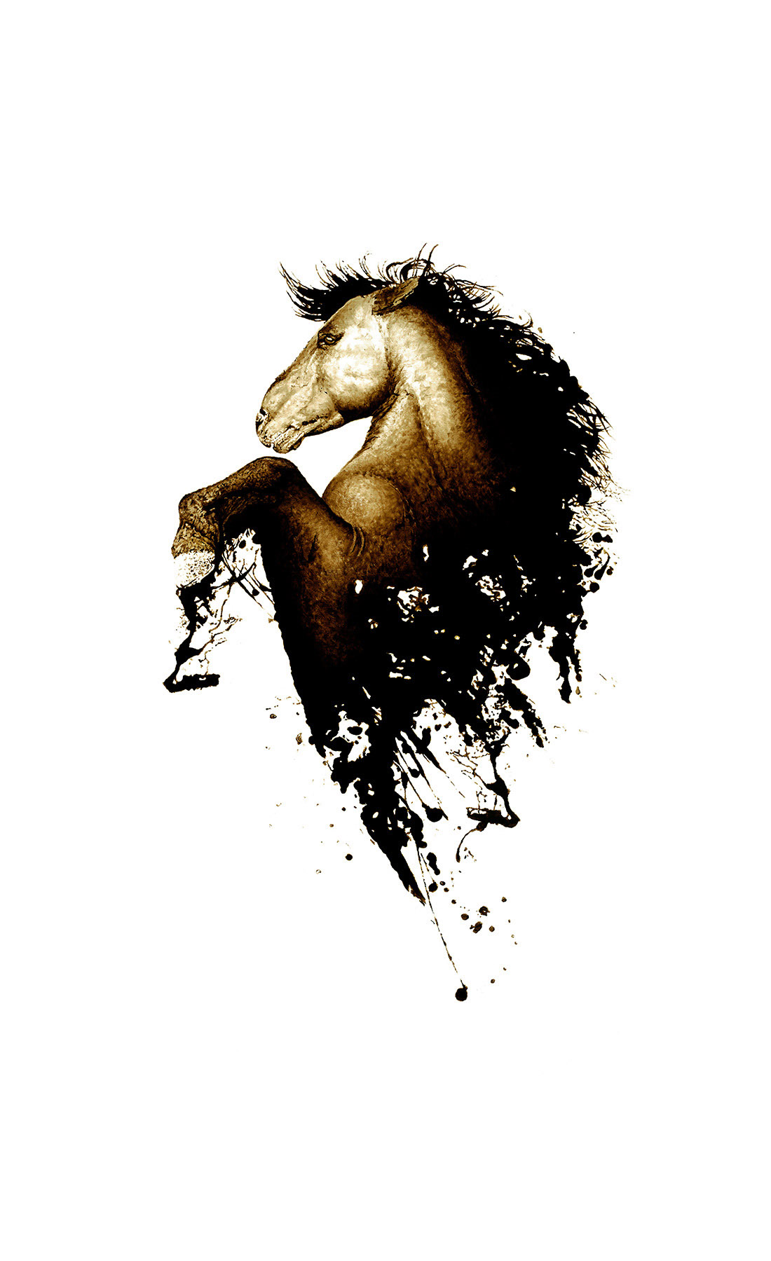 Airs Above, contemporary Horse bitumen painting on canvas by artist Lucas Seaward from Edmonton, Alberta (30inch x 48inch)