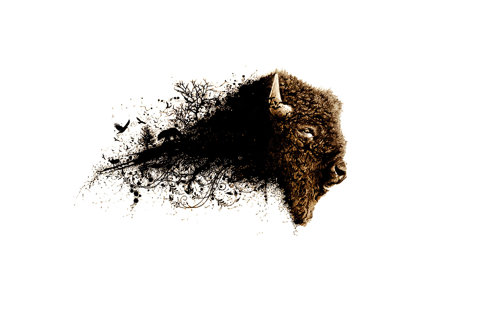 Bitumen Bull, bitumen painting on canvas by artist Lucas Seaward from Edmonton, Alberta Artwork (60inch x 36inch)