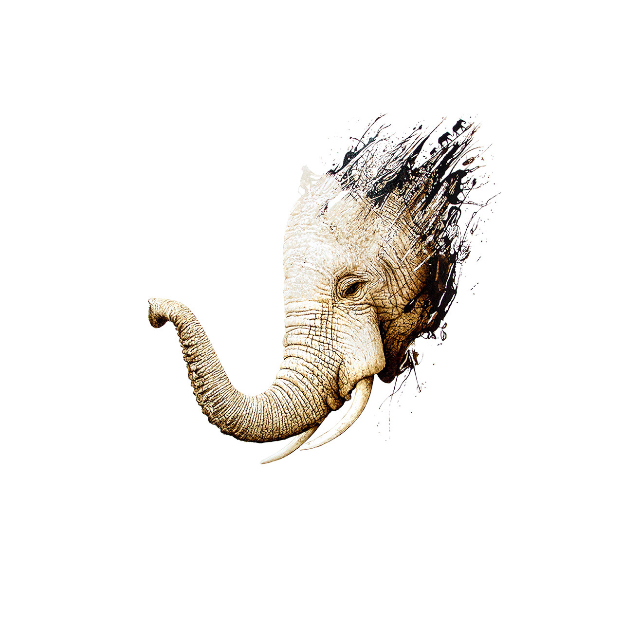 Elephant Eye, African Elephant bitumen painting on canvas by artist Lucas Seaward from Edmonton, Alberta (59inch x 59inch)