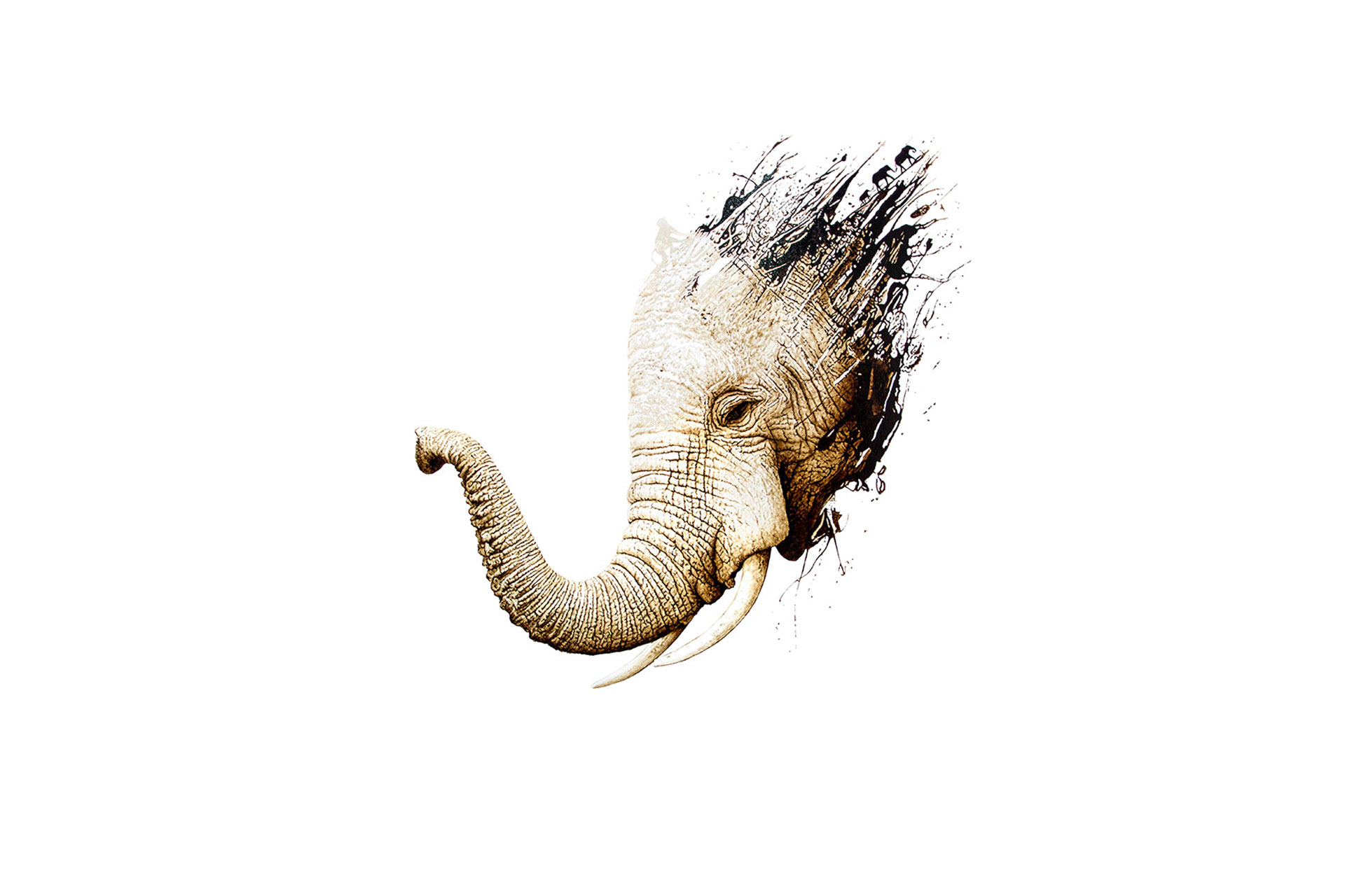 Elephant Eye, African Elephant bitumen painting on canvas by artist Lucas Seaward from Edmonton, Alberta Artwork (59inch x 59inch)