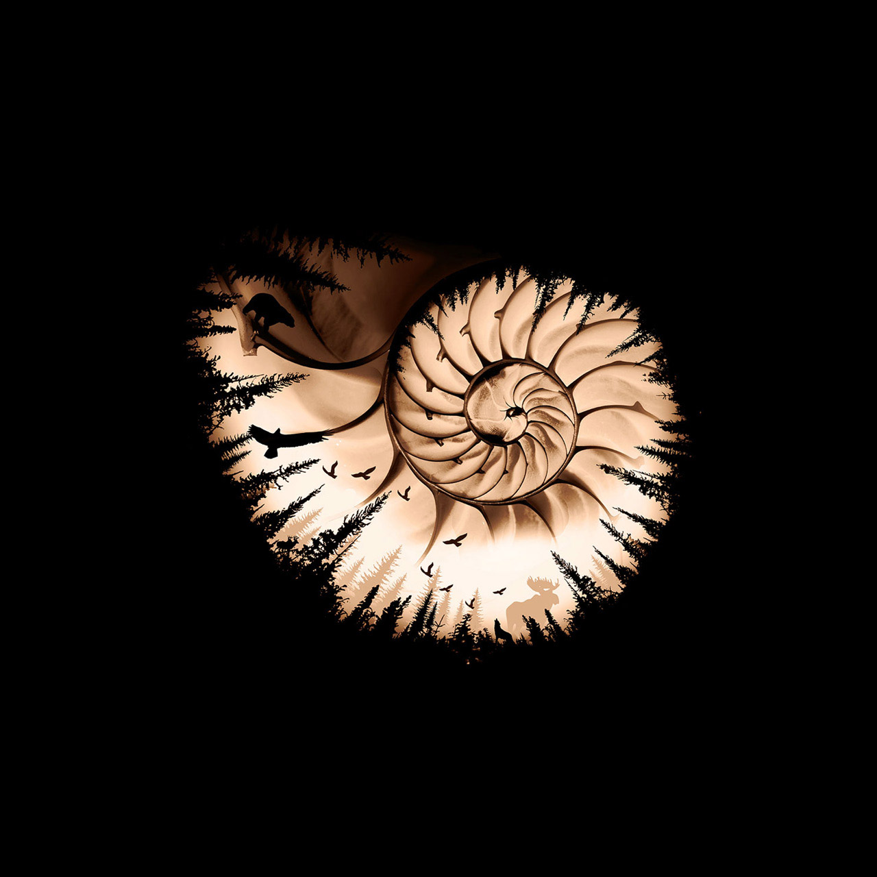 Golden Spiral, a contemporary bitumen commissioned painting on canvas by artist Lucas Seaward from Edmonton, Alberta (96inch x 84inch)