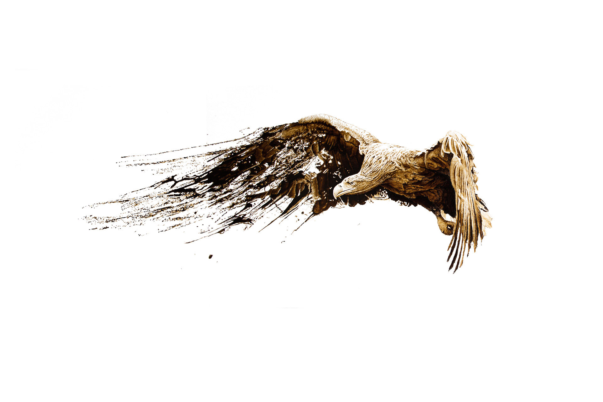 In Motion, Bald Eagle bitumen painting on canvas by artist Lucas Seaward from Edmonton, Alberta artwork Artwork (82inch x 35inch)